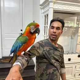 Harlequin Macaw Parrot - Tame and Talking in Waxhaw, nc