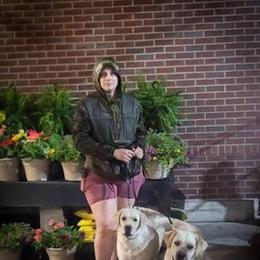 Female English Labrador Retriever for Rehoming in Holyoke, ma