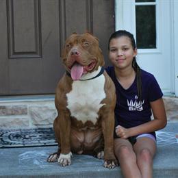 XXL Blue Nose Pitbull Puppies Available in Houston, tx