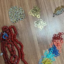 Pigeons with Stunning Rings for Sale in Mundelein, il