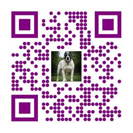 AI Services for K9s - Stud Collection and Insemination in Columbia, sc