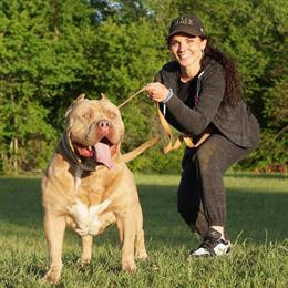 XL Pitbull Puppies for Sale in Houston, tx