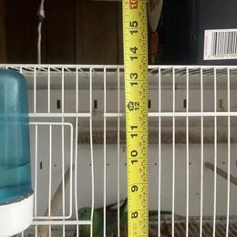 Cages for Birds - New and Used Available in Hackensack, nj