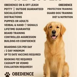 NYC Dog Training with Real Results for All Breeds in New York, ny
