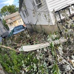 Professional Yard Cleanup, Tree Trimming, and Waste Removal Services in Breezy Point, NY