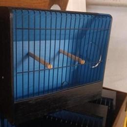 Finch and Canary Show Cages with Carriers for Sale in Billerica, ma