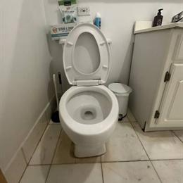 Experienced Professional Cleaning Services in Saint Albans, NY in Saint Albans, NY