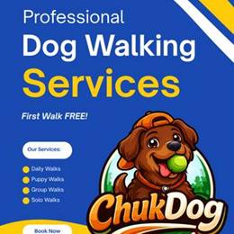 Premium Dog Walking Services in Brooklyn - First Walk Free in Brooklyn, NY