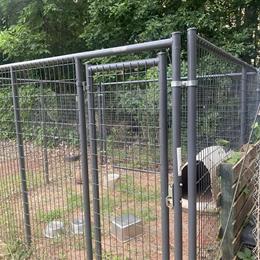 12x12 Dog Kennel for Sale in Griffin, ga