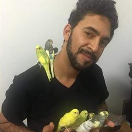 High Quality Birds: Canaries, Finches, Budgies and More in Santa Ana, ca