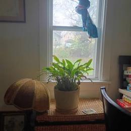 Room available for rent in Akron - male preferred in Cleveland, OH