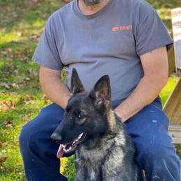 AKC German Shepherd Puppies for Sale in Lynchburg, va