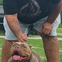 Exotic QCE Female, 3 Years Old, Great with Kids in Tampa, fl