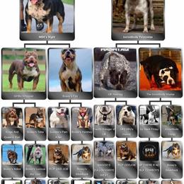 XL Bully Stud Service Available in Danville, va