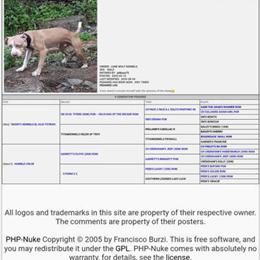 Pit Bull Stud for Breeding in Novi, mi