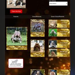 Pocket Micro Bullies for Sale in Durham, nc