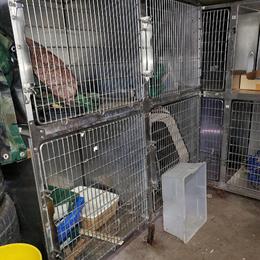 Stainless Steel Cages for Sale - Make an Offer in New Baltimore, mi