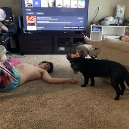 Black Male Pit Bull Mix Looking for a Good Home in Hohenwald, tn