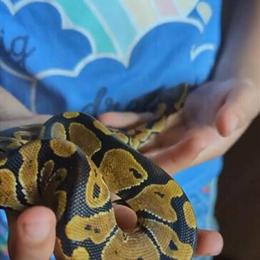 Female ball python with large enclosure and accessories in Dearborn Heights, mi