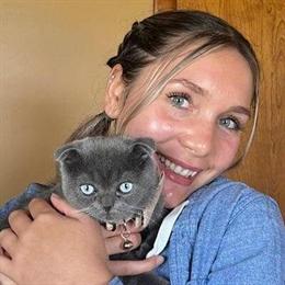 Beautiful Luxury Kittens from Champion Bloodlines in Grand Rapids, mi