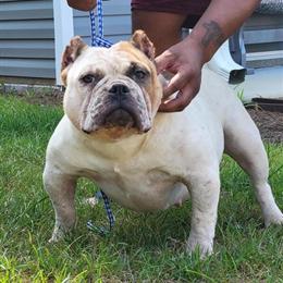 Takeoff Granddaughter for Adoption in Roanoke, va