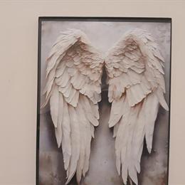 Shaded Silver Persian Kittens Available in Mount Laurel, nj