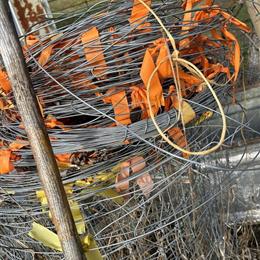 Wire Farm Fencing for Goats and Other Animals in Kalamazoo, mi