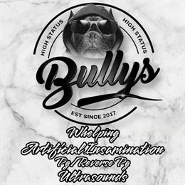 Mobile Artificial Insemination Services for Dogs in Philadelphia, pa