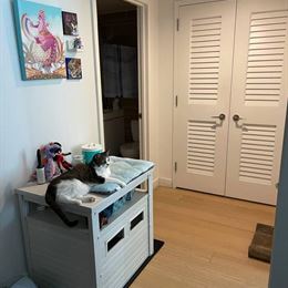 1 Private room for Rent  in Brooklyn, NY