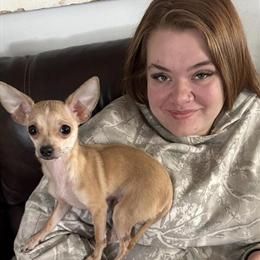 Chihuahuas - Moose and Luna, a bonded pair looking for a new home in Hillsboro, oh