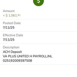 German Shepherd Female Available for Adoption in Winston-Salem, nc