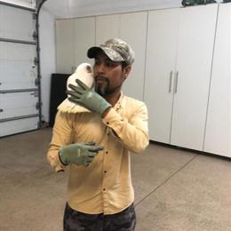 Bare Eyed Cockatoo - Tame and Talking in Waxhaw, nc