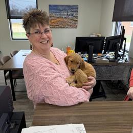 Golden Retriever Puppies Ready for Forever Homes in Imlay City, mi