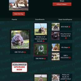 Teflon Stud Available in Orlando Area in Orlando, fl