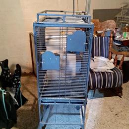 Dark Gray Parrot Cage with Detachable Play Top for Sale in Hermitage, pa