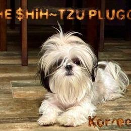 Imperial Stud FRe$H - Not for Sale in Hyattsville, md