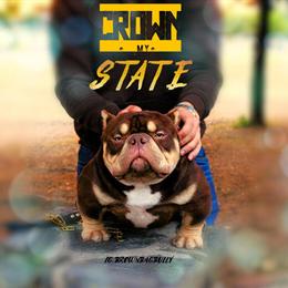 Male Bully Available for Stud Services in Cherry Hill, nj