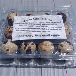 Fresh Quail Eggs for Sale at $3 per Dozen in Gloucester, va
